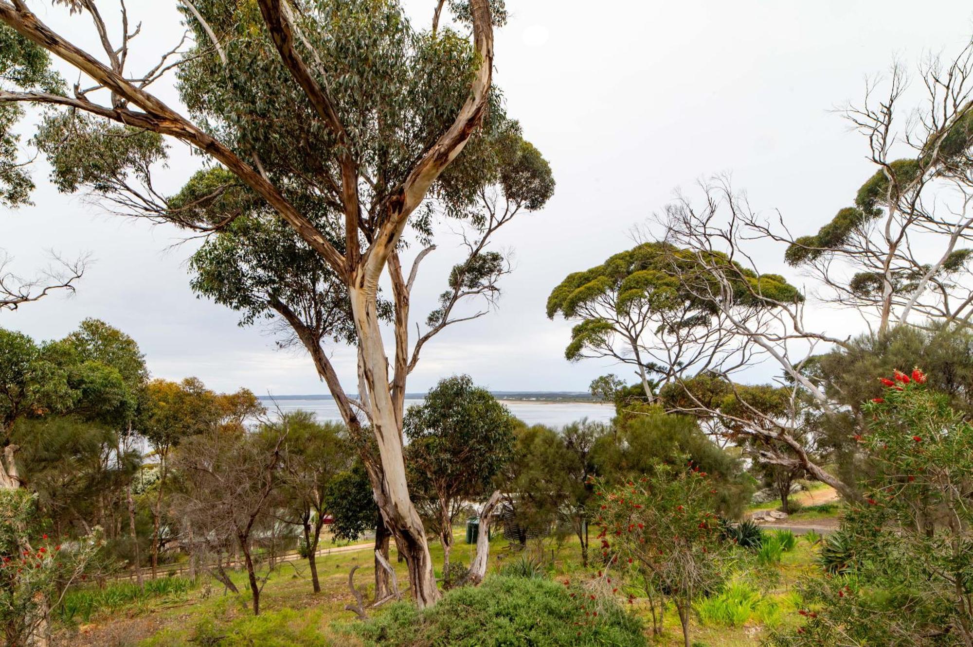 The River Suites, Kangaroo Island American River Exteriér fotografie